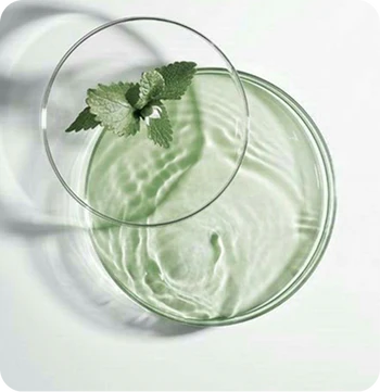 Menthol